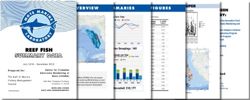 Screenshot of sampled pages of a CFEMM report