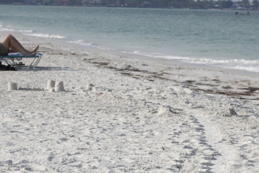 Southwest Florida beach