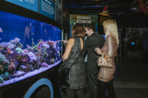 Guests gaze into a reef exhibit in the Indoor Aquarium Gallery.