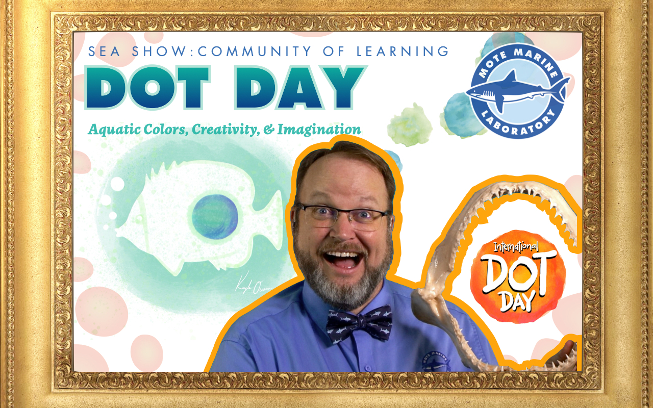 Framed promotional image for 'Dot Day: Aquatic Colors, Creativity, & Imagination,' part of the Sea Show: Community of Learning from Mote Marine Laboratory. The image features a smiling presenter in a blue shirt and bow tie, holding what appears to be a shark jaw. Above him is the Mote Marine Laboratory logo, and in the background is a stylized fish illustration in green and blue tones, along with dots resembling watercolor splashes. The phrase 'International Dot Day' is written within an orange circle, tying into the theme of creativity.