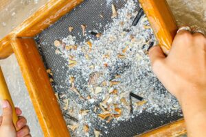 Closeup of a person's hands holding a sieve and sifting through sand for sharks teeth at Fossil Creek at Mote