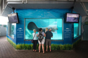 Large exhibit tank on display at the Mote Aquarium.