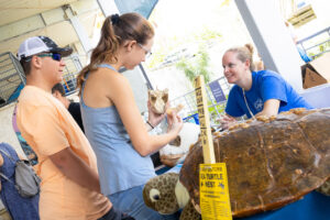 Visitors learn about sea turtle anatomy