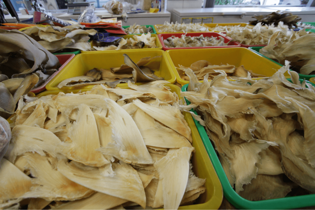 Dried shark fins